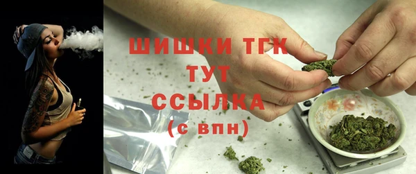 тгк Осташков