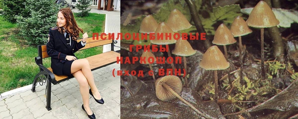 apvp Валуйки