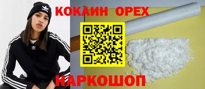 гашик Камышлов