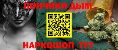 гашик Камышлов