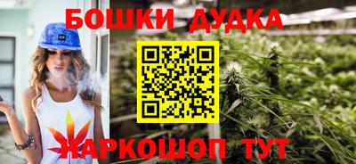 гашик Камышлов