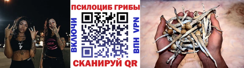 Псилоцибиновые грибы мухоморы  где купить наркоту  Туймазы 